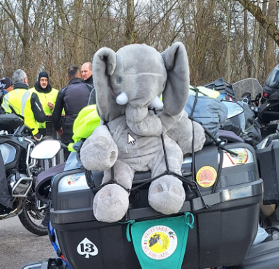 Viele Elefanten haben den Kaffeestopp auf ihrer Tour fest eingeplant.