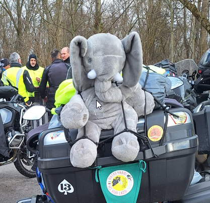 Viele Elefanten haben den Kaffeestopp auf ihrer Tour fest eingeplant.